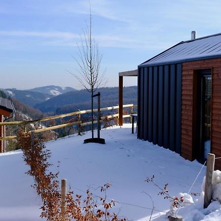 Uplandparcs Winterberg Villa Dış mekan fotoğraf