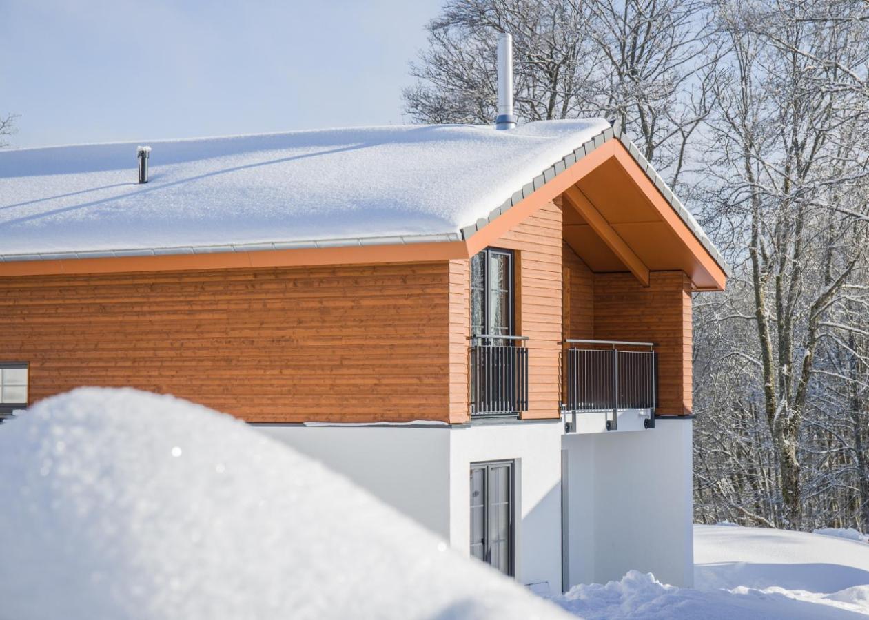 Uplandparcs Winterberg Villa Dış mekan fotoğraf