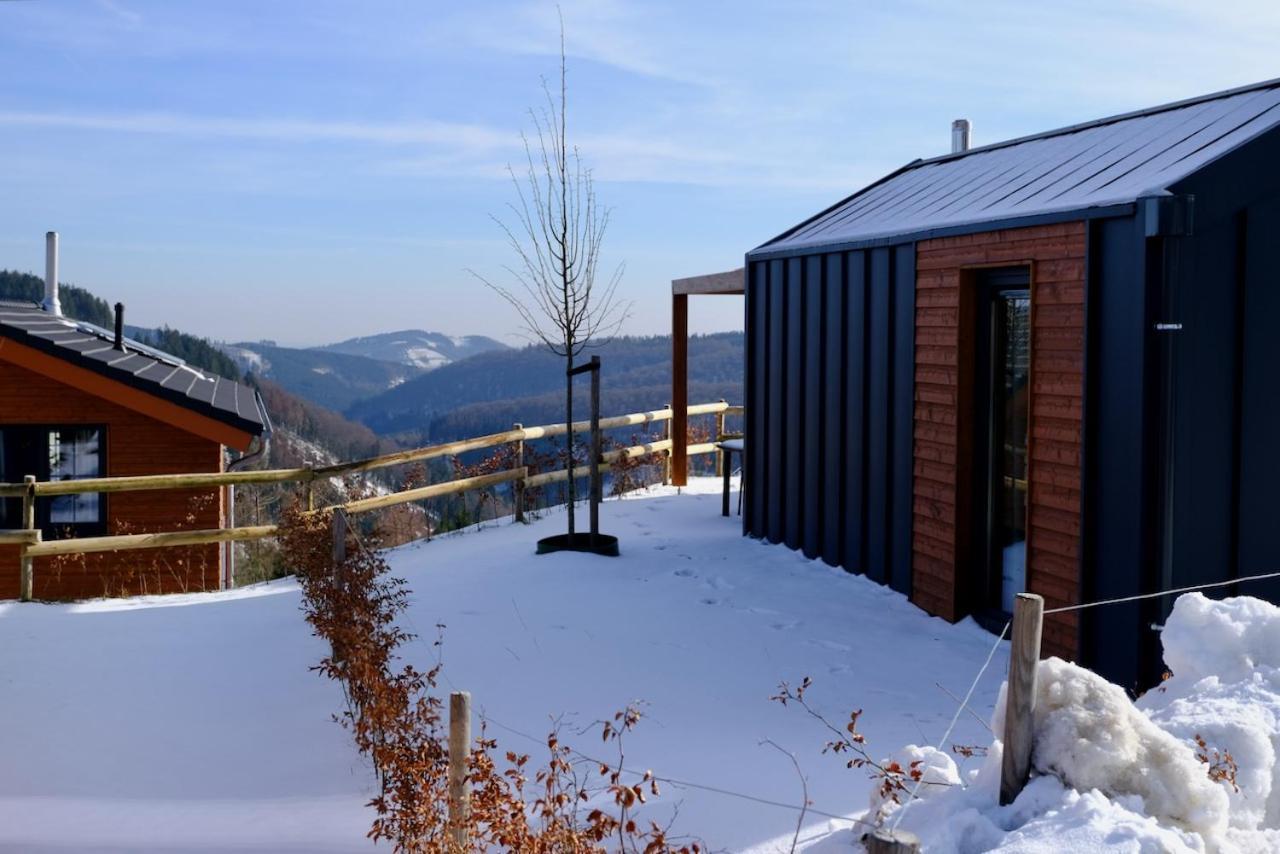 Uplandparcs Winterberg Villa Dış mekan fotoğraf