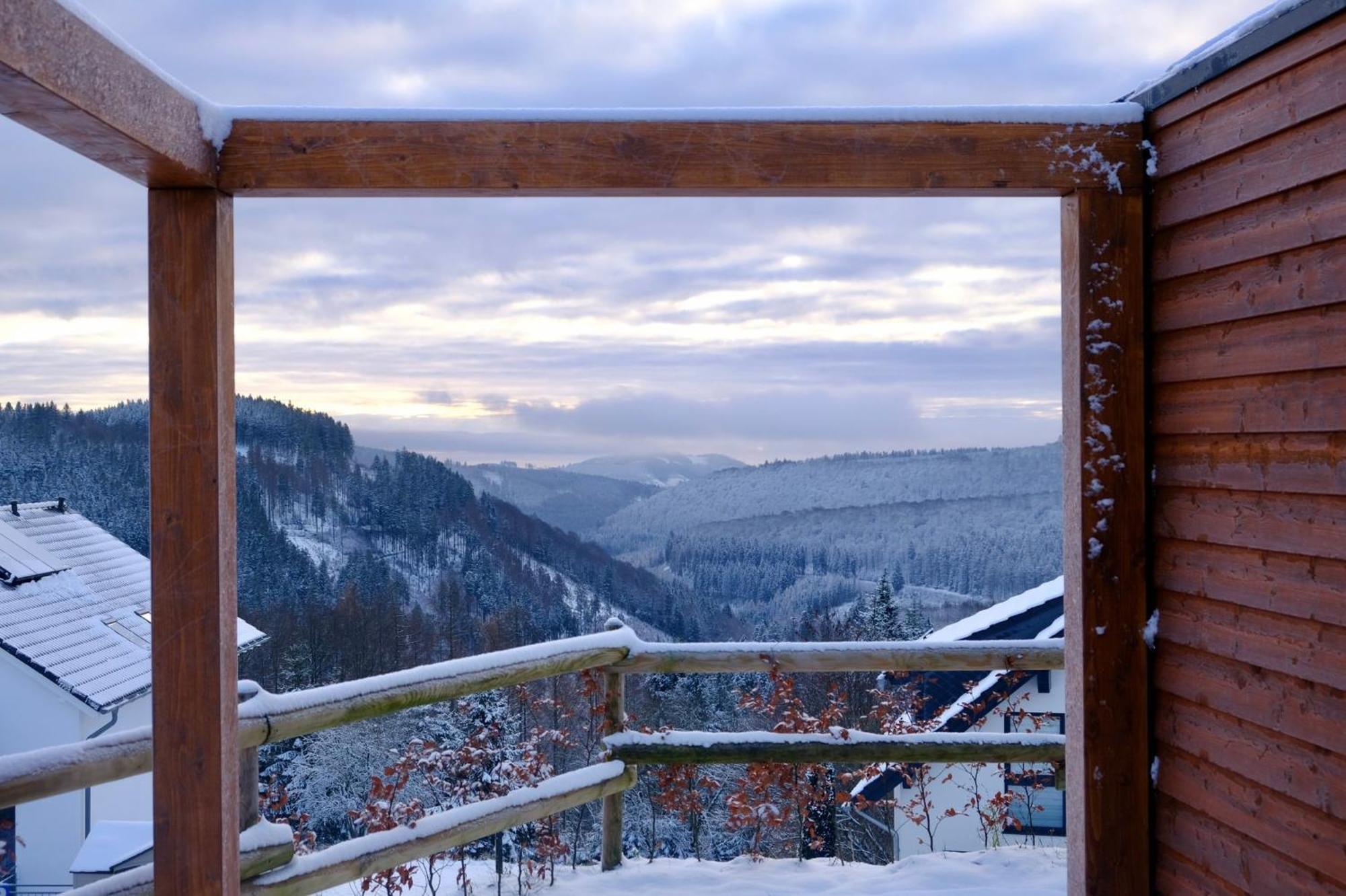 Uplandparcs Winterberg Villa Dış mekan fotoğraf